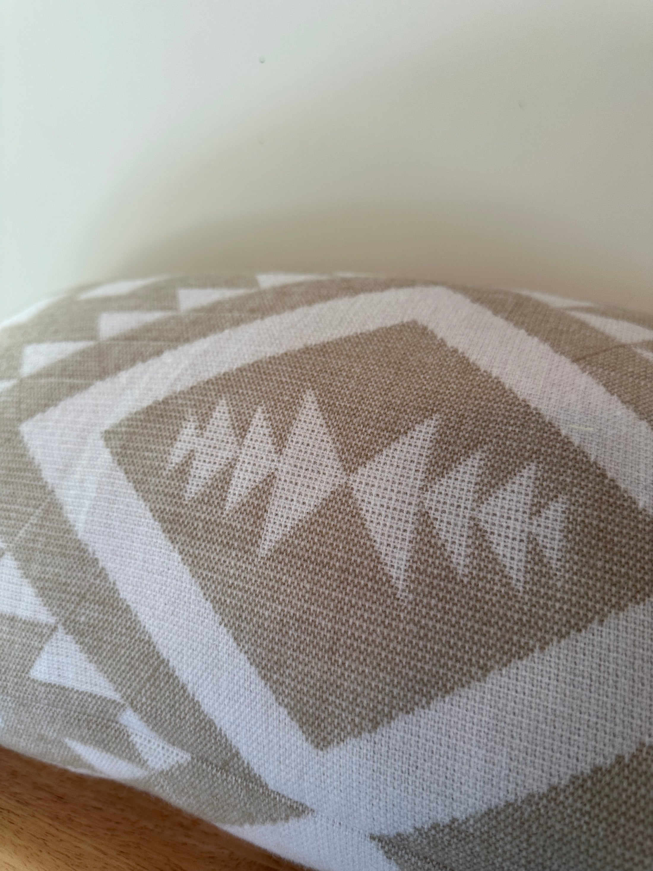 Coca Lumbar Pillow Cover