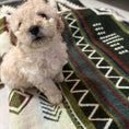 Load image into Gallery viewer, Milagro Aztec Reversible Blanket
