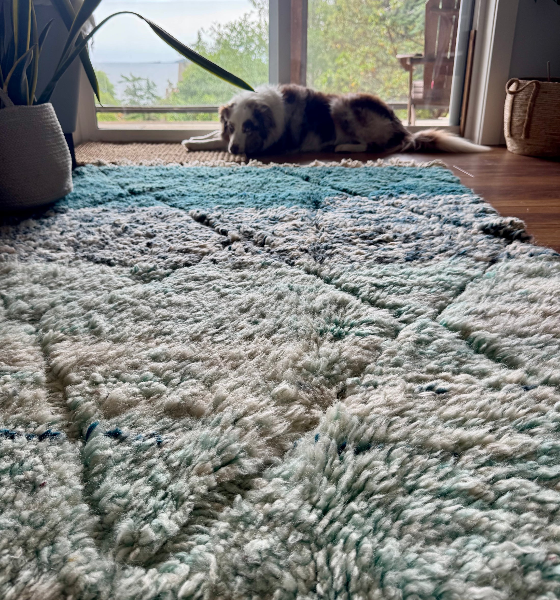 Rayan Handwoven Moroccan Wool Rug 4x5.5