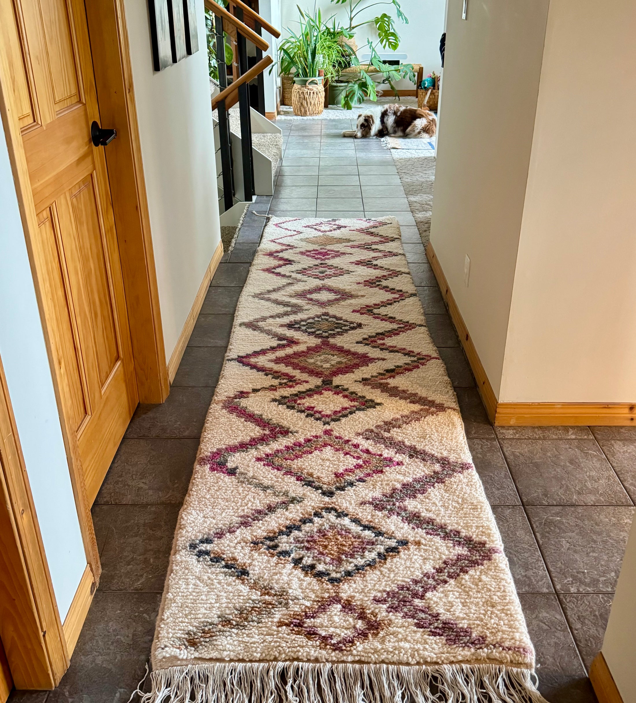 A long runner rug with a geometric diamond pattern in beige, burgundy, and brown, laid out on a tiled hallway floor. A dog is visible in the background of the hallway.