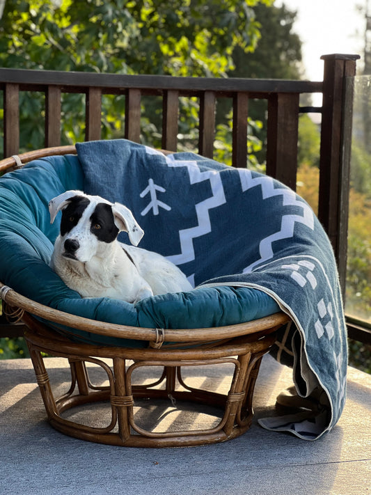 Lazuli Reversible Blanket