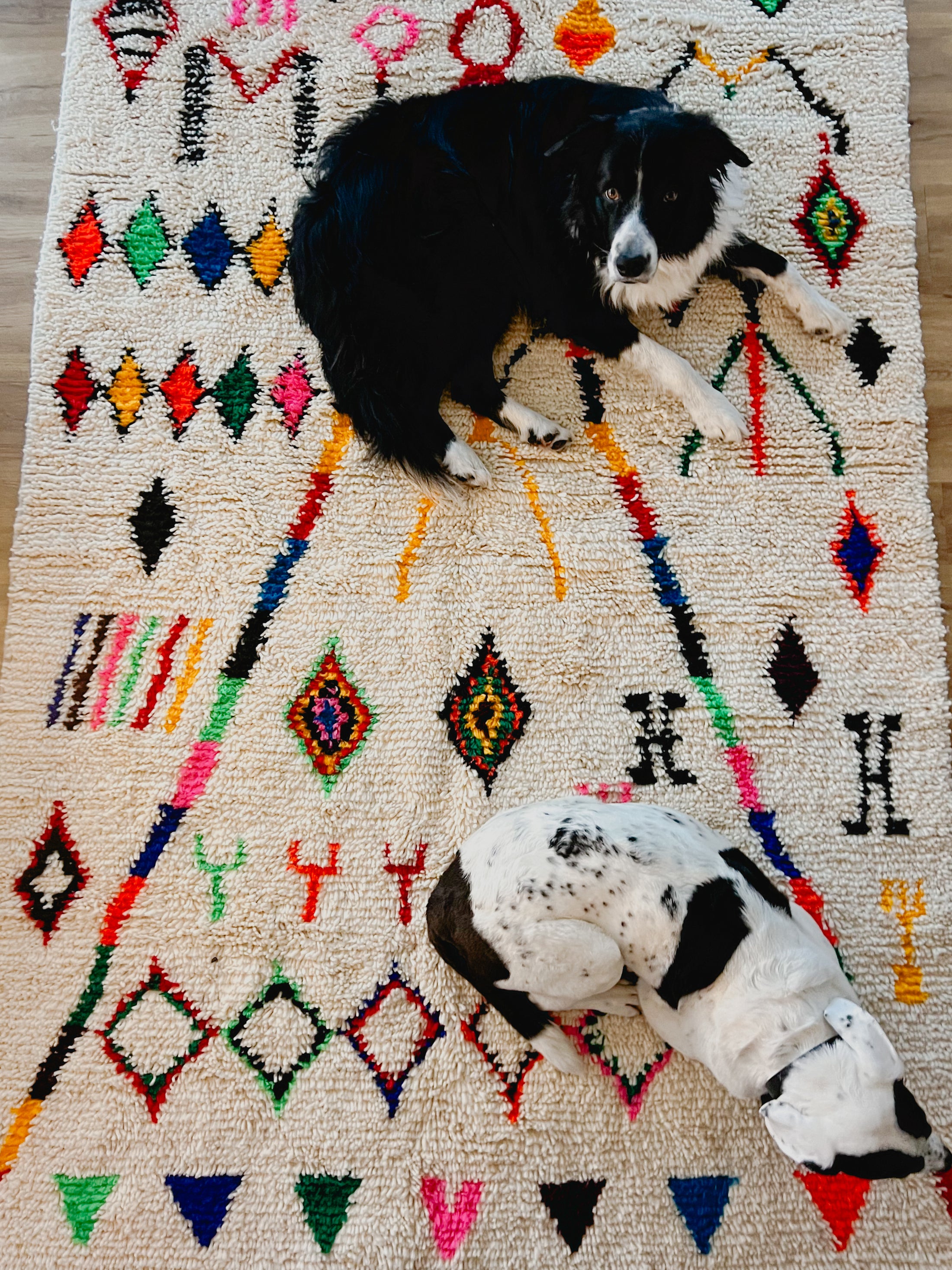Ettam Handwoven Moroccan Wool Rug 5x8
