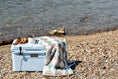 Load image into Gallery viewer, Boza Aztec Reversible Blanket
