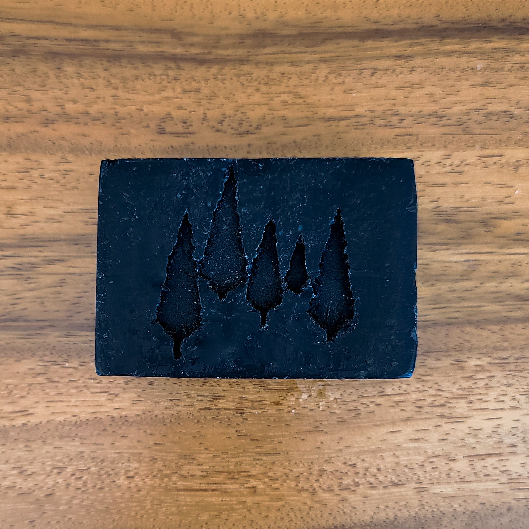 Activated Charcoal Face + Body Soap