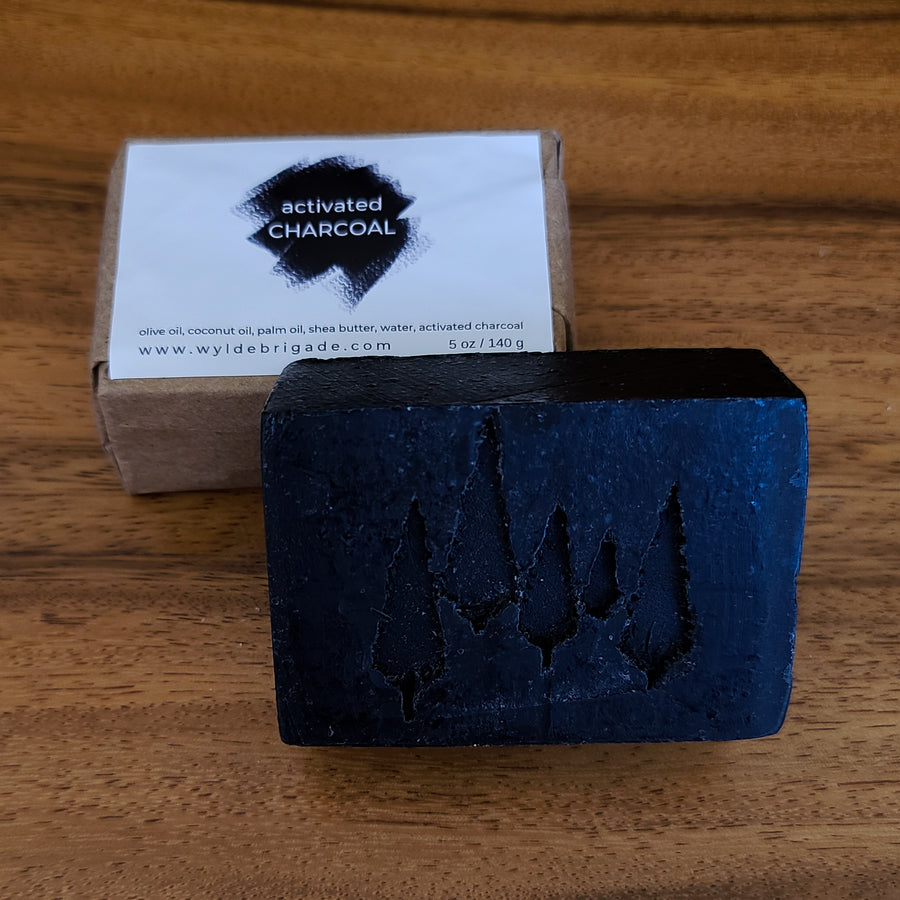 Activated Charcoal Face + Body Soap