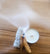 Torch Candle  //  Smoked Cedar/Orange Peel/Winter Sage/Fir Needle